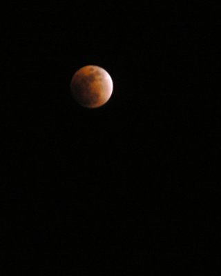 Lunar Eclipse 02202008.JPG