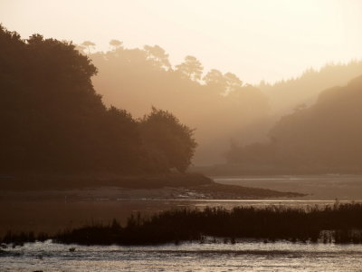 View over water 1.jpg