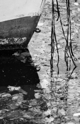 Boat bow weed.jpg