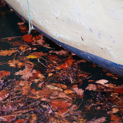 PB011563.jpg