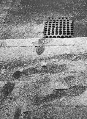 Gutter snow prints.jpg