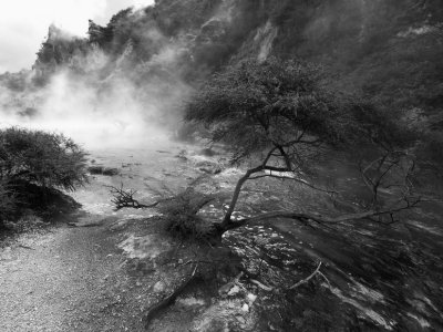 NZ Rotorura river mist 1 bw web.jpg