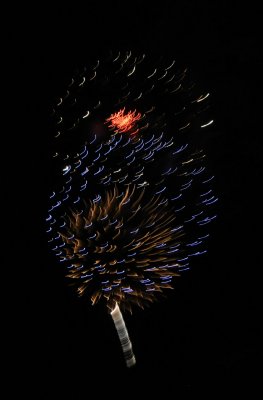 DSC_0070s.jpg