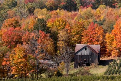 Fall 09 Ridge Barn