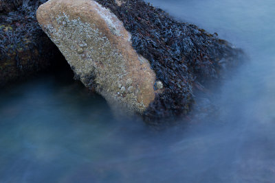 A wet rock