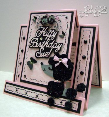 Sues 2011 Birthday Card - Front View.jpg