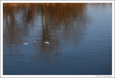 Frozen pond