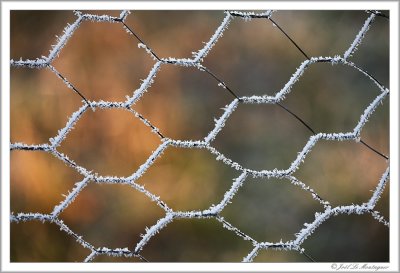 Frosted fence (2)