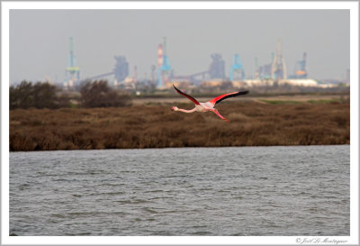 Take off