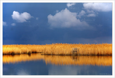 Before the storm