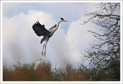 Landing