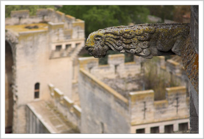 King Rene castle (5)