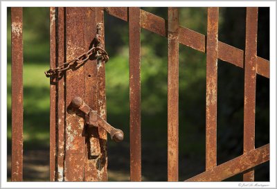 Rusted