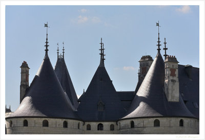 Chaumont-sur-Loire castle (2)