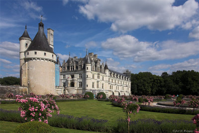Chenonceaux castle (2)