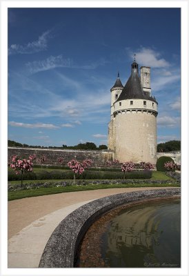 Chenonceaux castle (3)