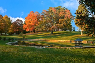 Virginia