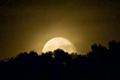 Moonrise Over Galax