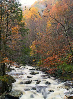 Stream 2