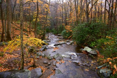 Stream 5