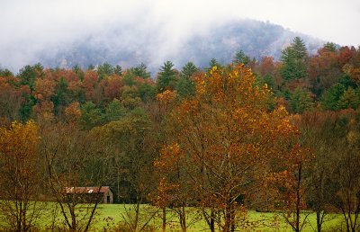 Mountainside Fog