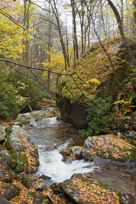 Stream 6