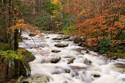 Stream  4