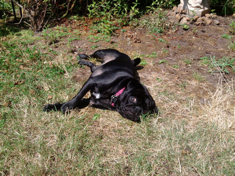 2010-08-06 12.08.55.jpg