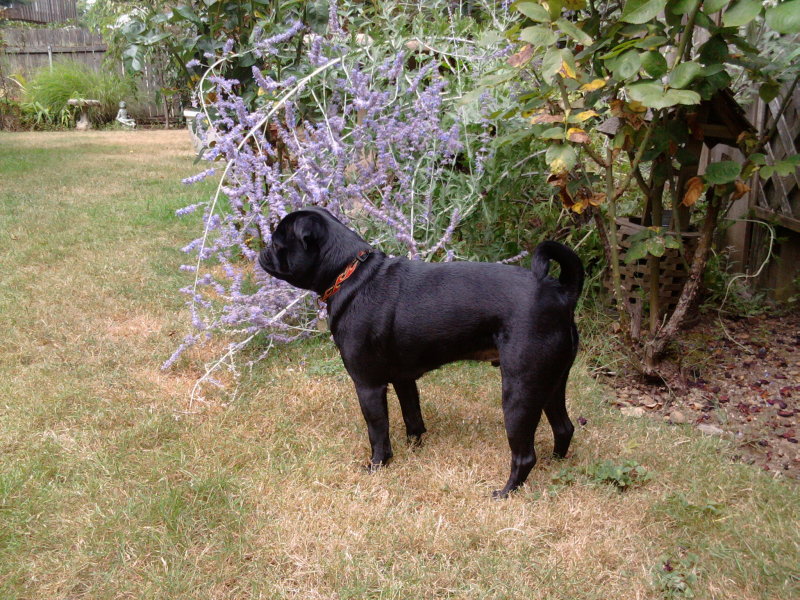 2010-08-22 12.29.29.jpg