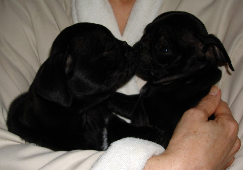 Brother & Sister