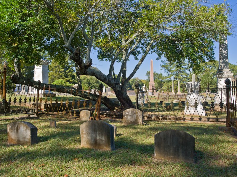 A0001150.jpg