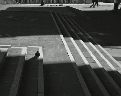 5250-b&w.jpg