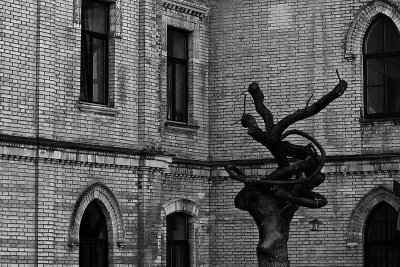 5287-b&w.jpg
