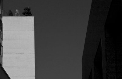 5590-b&w.jpg