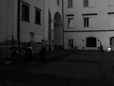 6908-b&w.jpg