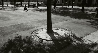 6917-b&w.jpg