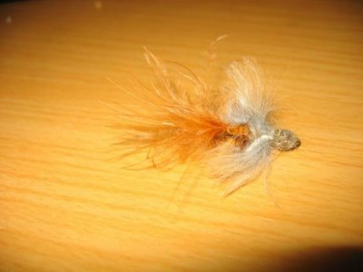 sculpin1.jpg