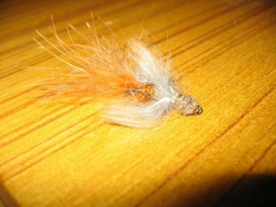 Sculpin2.jpg
