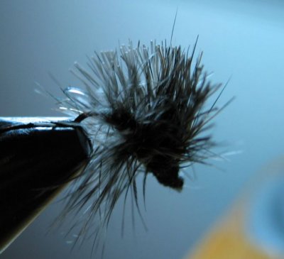 dhc dropper with mono loop.jpg