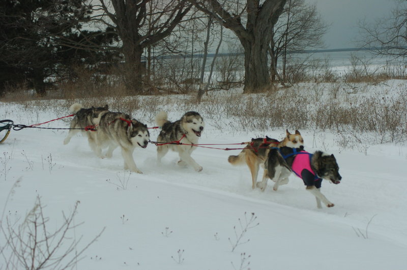 DSC_9412.JPG