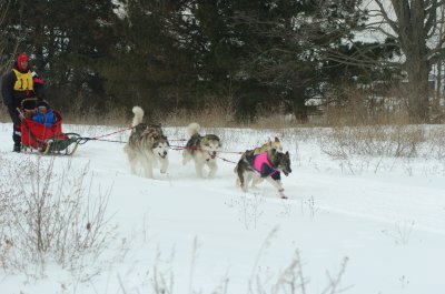 DSC_9403.JPG