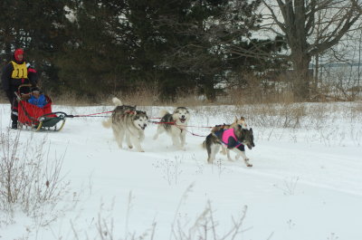 DSC_9404.JPG