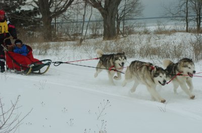 DSC_9413.JPG