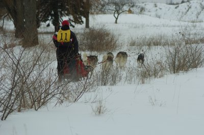 DSC_9417.JPG