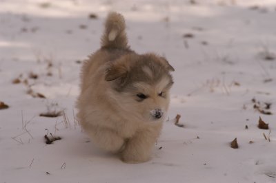march_30_first_snow