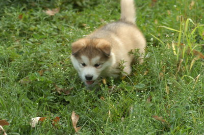 DSC_5554.JPG