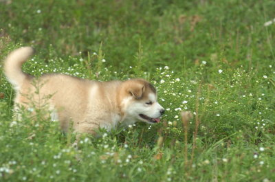 DSC_5603.JPG