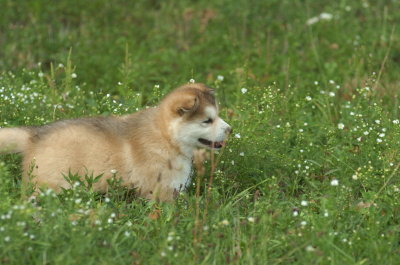 DSC_5604.JPG