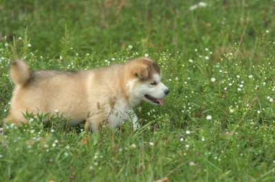 DSC_5605.JPG