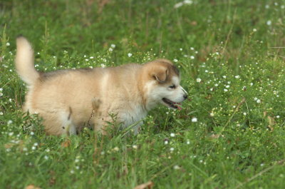 DSC_5606.JPG